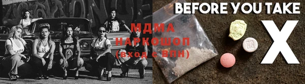 шишки Лабытнанги