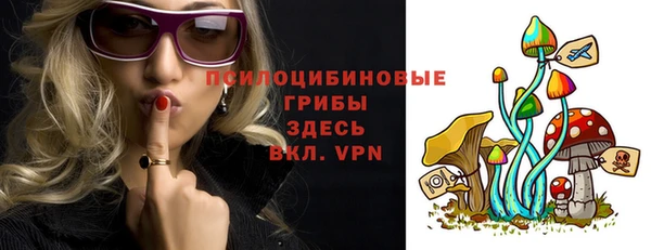 дмт Лагань