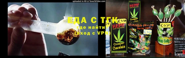 шишки Лабытнанги