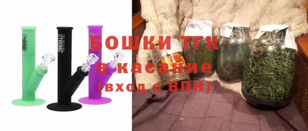 шишки Лабытнанги