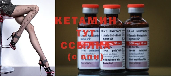 шишки Лабытнанги