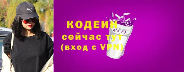 дмт Лагань