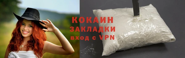 сатива Балахна