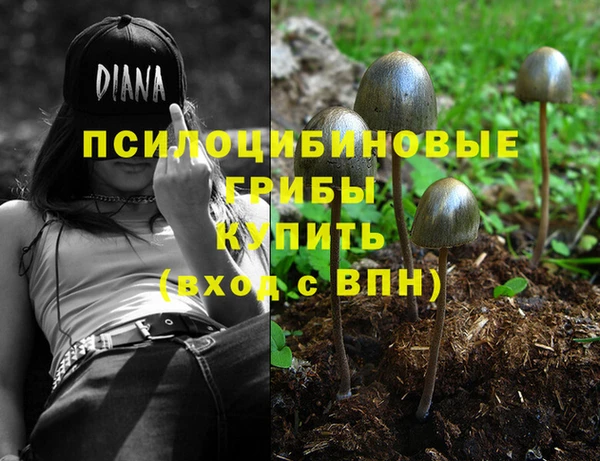 COCAINE Ладушкин