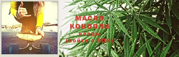 шишки Лабытнанги