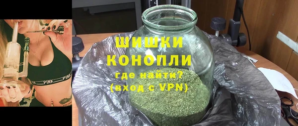 сатива Балахна