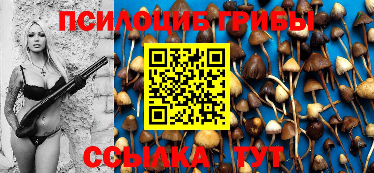 Галлюциногенные грибы прущие грибы Бор